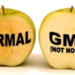 Arctic-Apple-GMO