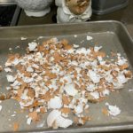 eggshells-for-exfoliating.